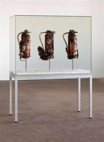 Drei Feuerlöscher mit Wucherungen in einer Vitrine